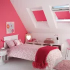 Business 11 image A COOMBS PET CENTRE Pet Shops in Brighton Ea