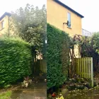 Business 2 image A.T LANDSCAPING & MAINTENANCE Tree Services in Leeds We