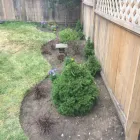 Business 4 image A.T LANDSCAPING & MAINTENANCE Tree Services in Leeds We