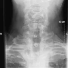 Business 3 image ABOVE & BEYOND LOFT CONVERSIONS Loft Conversions in Brighton Ea