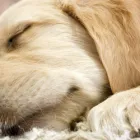 Business 4 image ABSOLUTELY FABULOUS Beauty Salons & Consultants in Leeds We