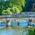 Business 2 image ACCENT LETTINGS & MANAGEMENT Real Estate Services in Cambridge Ca