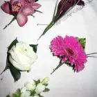 Business 12 image ACCURATE INVENTORIES - INVENTORY CLERK Property Management in Nottingham No