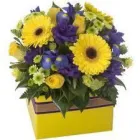 Business 15 image ACCURATE INVENTORIES - INVENTORY CLERK Property Management in Nottingham No