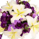 Business 2 image ACCURATE INVENTORIES - INVENTORY CLERK Property Management in Nottingham No