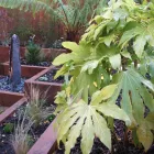 Business 3 image ACER GARDENS Patios in Liverpool Me