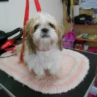 Business 6 image ALEX JACKSON PLUMBING Plumbers in Brighton Ea