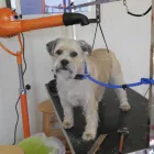 Business 7 image ALEX JACKSON PLUMBING Plumbers in Brighton Ea