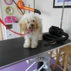 Business 8 image ALEX JACKSON PLUMBING Plumbers in Brighton Ea