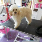 Business 9 image ALEX JACKSON PLUMBING Plumbers in Brighton Ea