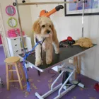 Business 10 image ALEX JACKSON PLUMBING Plumbers in Brighton Ea