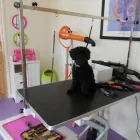 Business 1 image ALEX JACKSON PLUMBING Plumbers in Brighton Ea