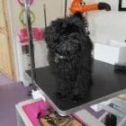 Business 3 image ALEX JACKSON PLUMBING Plumbers in Brighton Ea