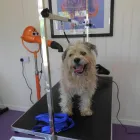 Business 4 image ALEX JACKSON PLUMBING Plumbers in Brighton Ea