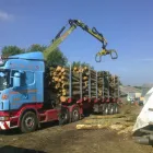 Business 9 image ALL SEASONS GARDENS & LOGS Lawn Care Services in Northampton No