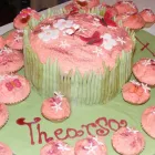 Business 1 image APOLLO WINDOW BLINDS LTD Blinds & Awnings in Coventry We