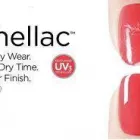 Business 13 image ART OF BEAUTY Eyelash Extensions in Northampton No