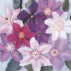 Business 3 image ART OF FLOWERS Florists in Nottingham No