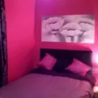 Business 11 image ASHTEAD PLANT HIRE CO.LTD Plant & Machinery Hire in Bootle Me