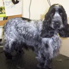 Business 5 image ASSIST RECRUITMENT Recruitment Consultants in Bootle Me