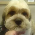 Business 7 image ASSIST RECRUITMENT Recruitment Consultants in Bootle Me