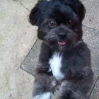 Business 8 image ASSIST RECRUITMENT Recruitment Consultants in Bootle Me