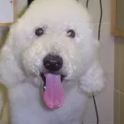 Business 10 image ASSIST RECRUITMENT Recruitment Consultants in Bootle Me