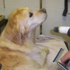 Business 3 image ASSIST RECRUITMENT Recruitment Consultants in Bootle Me