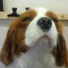 Business 2 image ASSIST RECRUITMENT Recruitment Consultants in Bootle Me