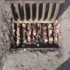 Business 2 image ASTOUND DRAINAGE LONDON Real Estate Services in London Gr