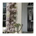 Business 2 image ATJ LIFESTYLE Guards & Grilles in Northampton No