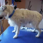 Business 4 image ATLANTIC CHAMBERS Barristers in Liverpool Me