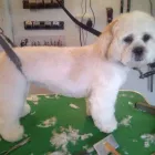 Business 2 image ATLANTIC CHAMBERS Barristers in Liverpool Me