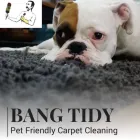 Business 1 image BANG TIDY PROPERTY MANAGEMENT SERVICES LTD Window Cleaners in Hove Ea