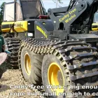 Business 14 image BANGKOK EXPRESS Takeaway Food in Brighton Ea