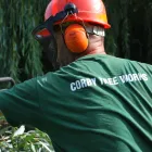 Business 15 image BANGKOK EXPRESS Takeaway Food in Brighton Ea