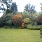 Business 16 image BANGKOK EXPRESS Takeaway Food in Brighton Ea