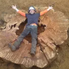 Business 19 image BANGKOK EXPRESS Takeaway Food in Brighton Ea