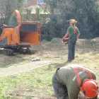 Business 21 image BANGKOK EXPRESS Takeaway Food in Brighton Ea