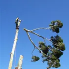 Business 23 image BANGKOK EXPRESS Takeaway Food in Brighton Ea