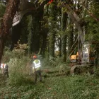 Business 24 image BANGKOK EXPRESS Takeaway Food in Brighton Ea