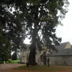 Business 25 image BANGKOK EXPRESS Takeaway Food in Brighton Ea