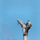 Business 26 image BANGKOK EXPRESS Takeaway Food in Brighton Ea