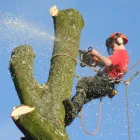 Business 3 image BANGKOK EXPRESS Takeaway Food in Brighton Ea