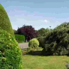 Business 4 image BANGKOK EXPRESS Takeaway Food in Brighton Ea