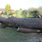 Business 5 image BANGKOK EXPRESS Takeaway Food in Brighton Ea