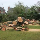 Business 11 image BANGKOK EXPRESS Takeaway Food in Brighton Ea