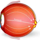 Business 4 image BELSON & SONS OPTOMETRISTS Optical Goods in London Gr