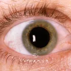 Business 1 image BELSON & SONS OPTOMETRISTS Optical Goods in London Gr