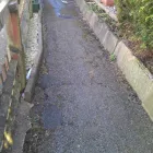 Business 4 image BEN MACDONALD GARDENS Garden Designers in Brighton Ea